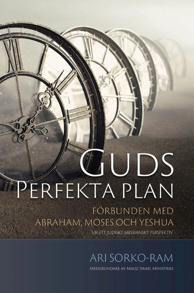 Guds perfekta plan av Ari Sorko-Ram